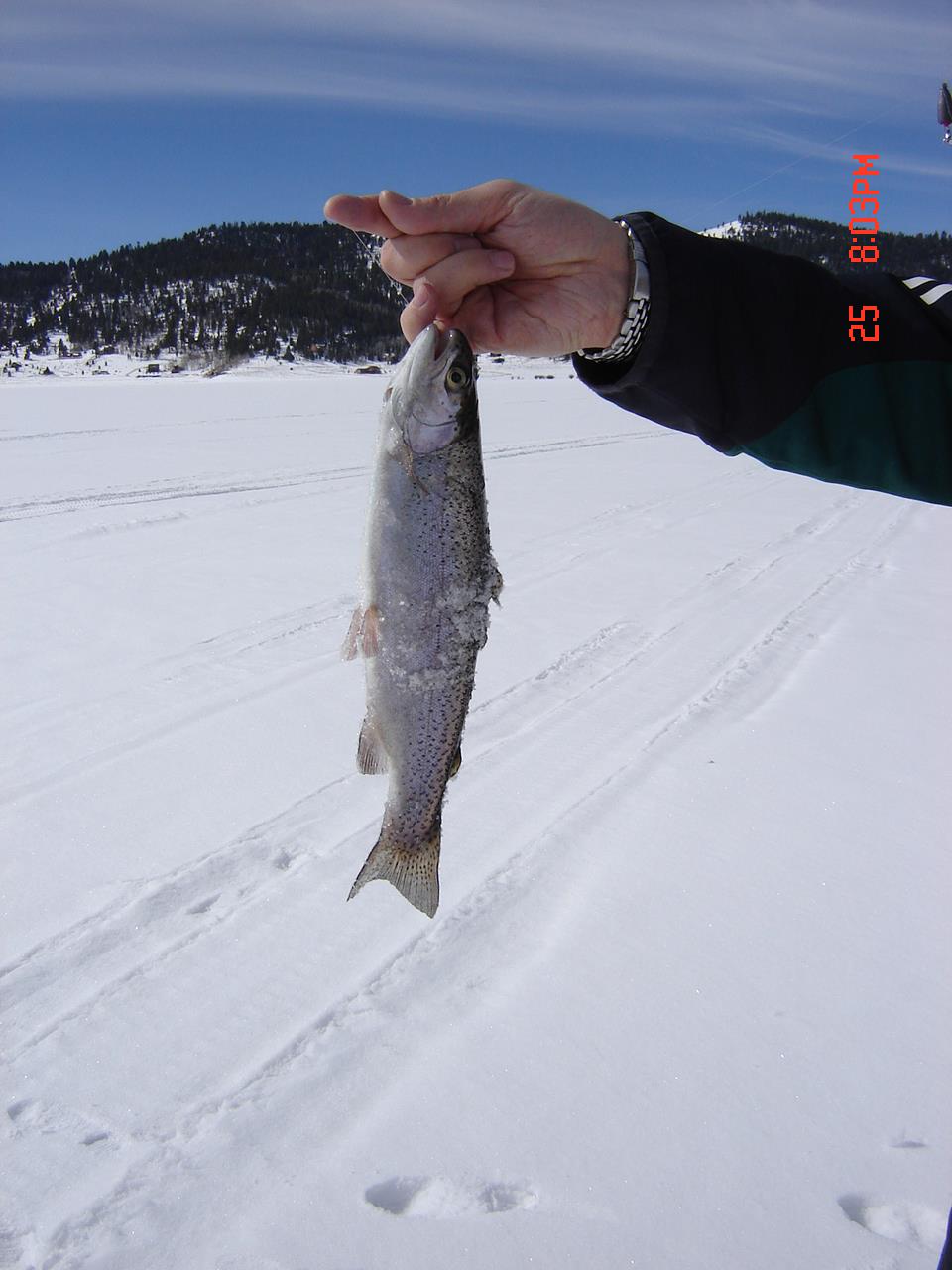 Poze Pescuit la Copca - dsc00938.JPG